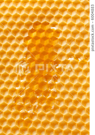 fresh honey in comb fresh honey in comb 6004883