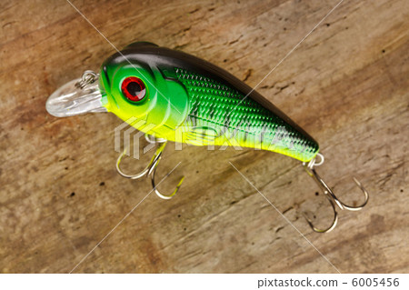 fishing lure 6005456