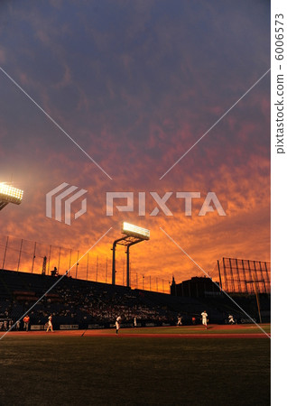 棒球 棒球 6006573