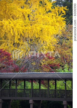 Autumn leaves of mainland temple Autumn leaves of mainland temple 6006990