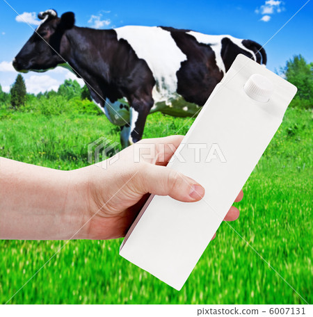 empty milk carton with space for text and advertising in a lands empty milk carton with space for text and advertising in a lands 6007131