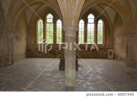 拉科克神廟 6007340