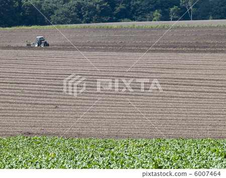 Field 6007464