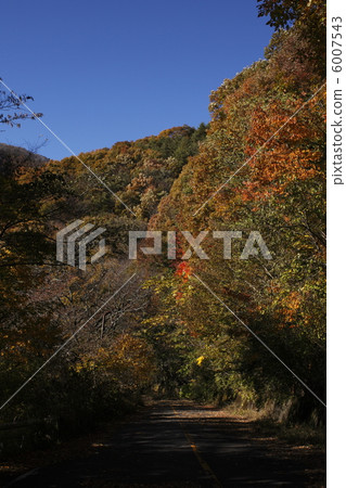 Abolished road 6007543