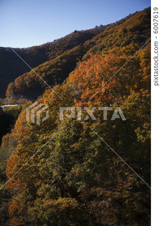 Fuji panoramic line 6007619