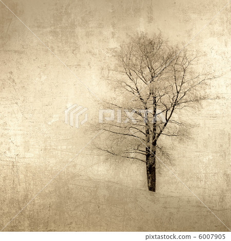 vintage image of a tree over grunge background 6007905
