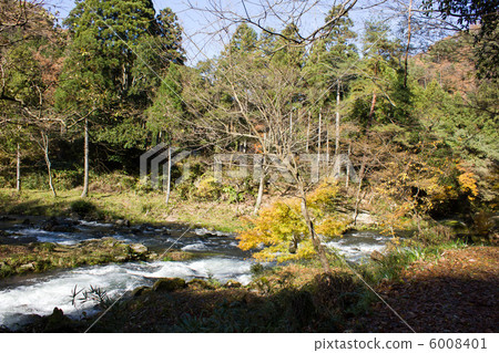 Aramami峽谷 6008401