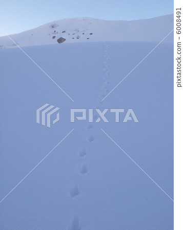 松雞的腳印 6008491