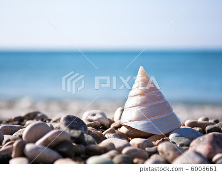 Sea shell with sea and blue sky 6008661