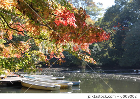 一個安靜的湖泊 6009002