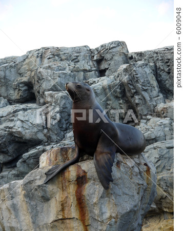 站著年輕的待辦事項 6009048