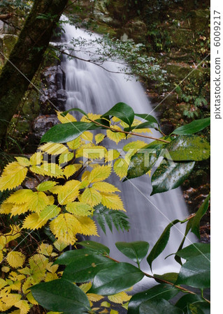 紅眼前進瀑布 6009217