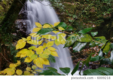 紅眼前進瀑布 6009218