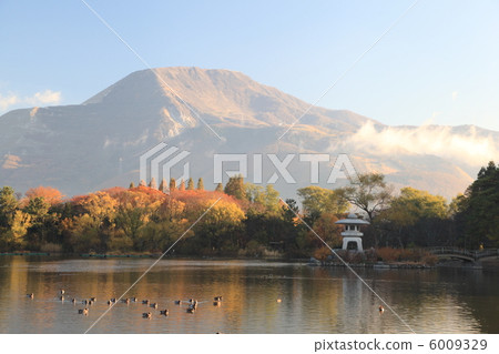 Autumn morning 6009329