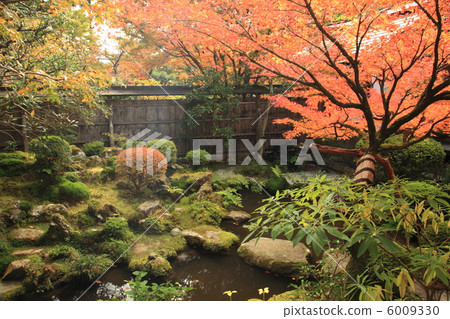 Hohsengumi Tsurugame Garden 6009330