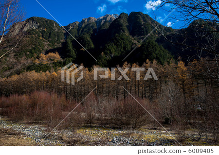 Autumn leaves of Kamikochi Autumn leaves of Kamikochi 6009405