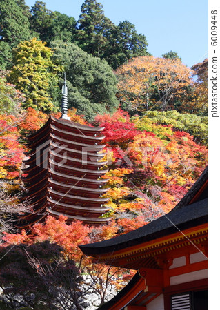 Shishiyama寺廟秋葉 6009448