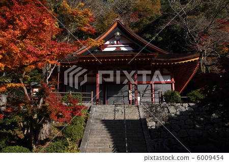 Tsuyama Shrine Rights 6009454