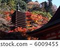 Autumn leaves of Shishiyama Shrine 6009455