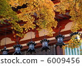 Takeshi Shrine Hall Hall Fishing lantern and autumn leaves 6009456
