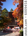 Takeshi Shrine Autumn leaves and ten-story pagoda 6009458