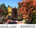 Takeshi Shrine Autumn leaves and ten-story pagoda 6009459