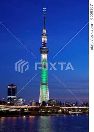 東京天空樹點亮·日本樹和隅田川光 東京天空樹點亮·日本樹和隅田川光 6009567