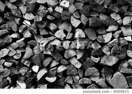Bonfire Tree Bonfire Tree 6009815