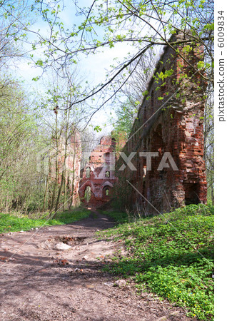 Balga - ruins of medieval castle of the Teutonic knights. Kalini 6009834