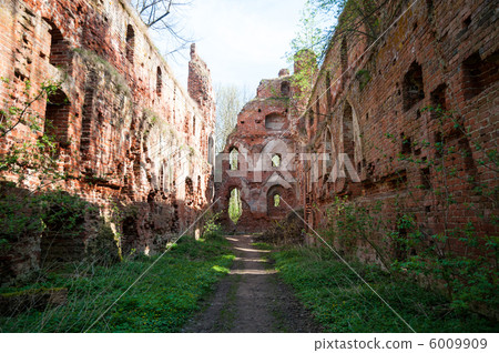 Balga - ruins of medieval castle of the Teutonic knights. Kalini 6009909