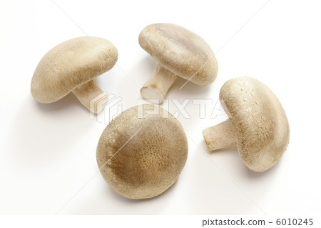 Mushroom · Shiitake Mushroom · Shiitake 6010245