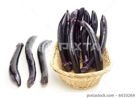 夏季蔬菜/長c .. 6010269