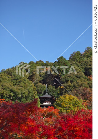 Eiken-do Taga 6010423