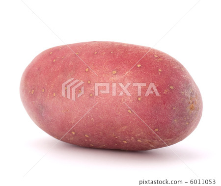 New potato tuber 6011053