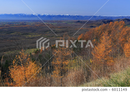 Segahara觀察黃葉的卡拉松和十勝平原01 Segahara觀察黃葉的卡拉松和十勝平原01 6011149