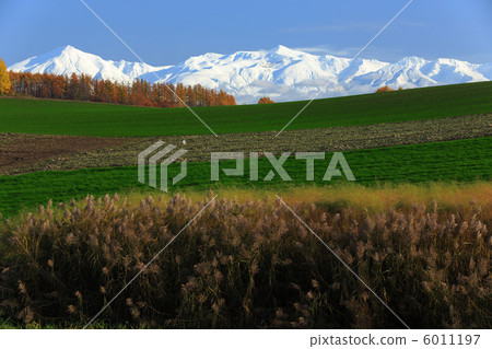 Suzuki and Tokachi dake mountains Suzuki and Tokachi dake mountains 6011197