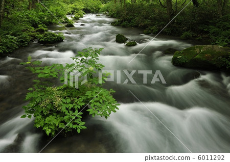 Oirase流 Oirase流 6011292