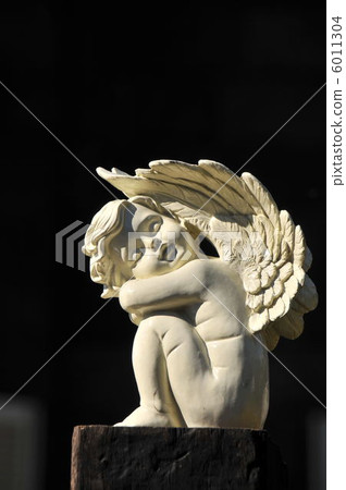 Angel of old Furukawa garden 6011304