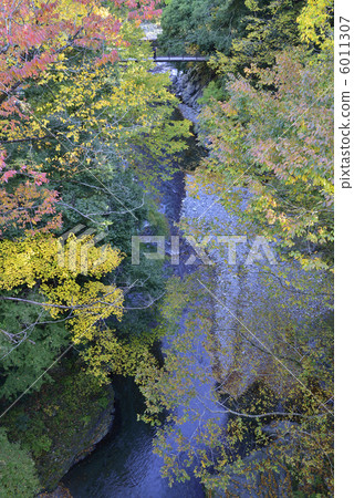 Fall of the Okutama gorge 6011307