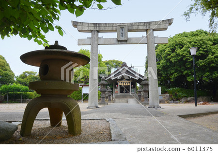 Mikoshi Hachimangu Shrine 6011375