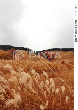 Akine峰的Susuki領域 Akine峰的Susuki領域 6011905