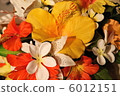 表花 6012151