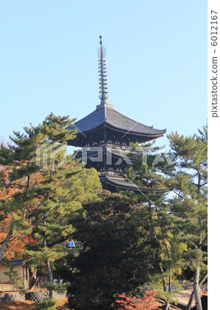 Five-story pagoda of Kofuku-ji seen from Nara Sarusawa pond 6012167