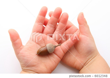 橡子和孩子的手 6012348