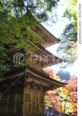 Yokodoji in autumn 6012409