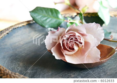 Up of copper dish and rose Julia 6012633