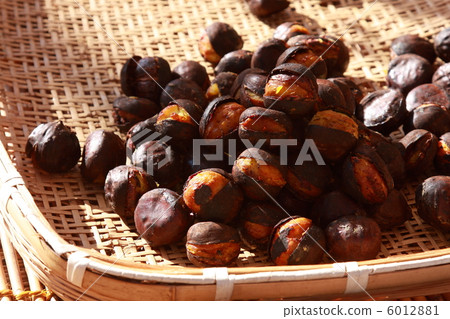 丹波栗子石烤 6012881