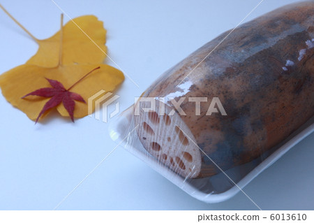 蓮花與托盤與膝蓋和楓樹和銀杏（白色背景） 6013610