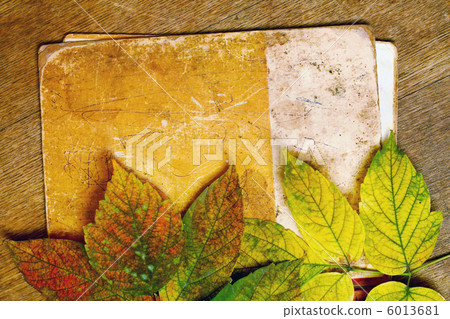 autumn 6013681