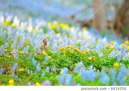 幸福的時刻 6014350